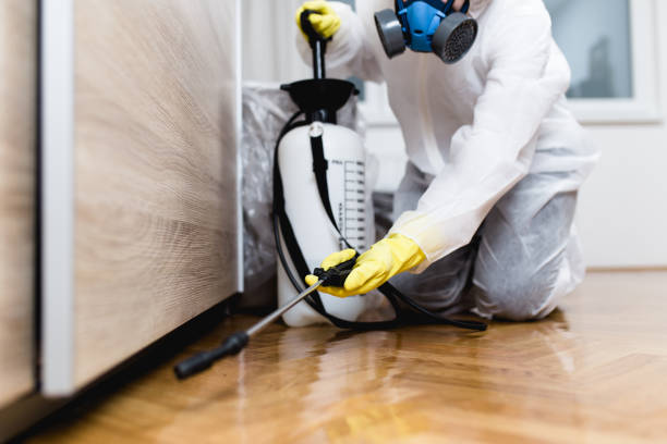 Best Pest Control Near Me in Bethesda, OH