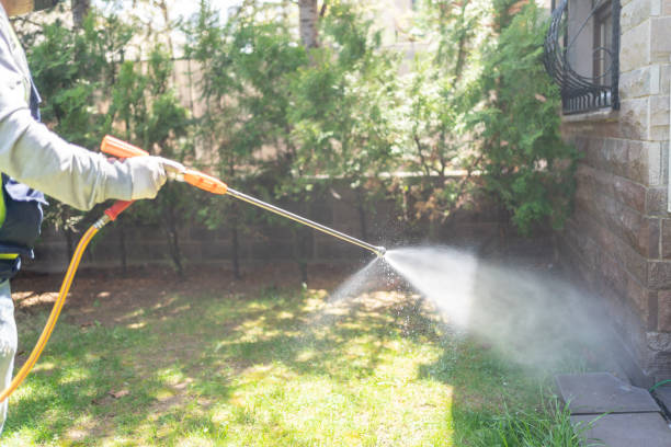 Best Local Pest Control Services  in Bethesda, OH