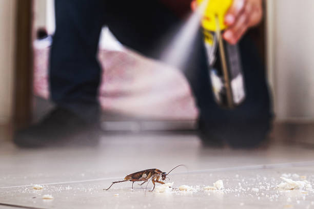 Best Affordable Exterminators  in Bethesda, OH