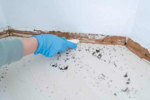 Best Wildlife Control Services  in Bethesda, OH