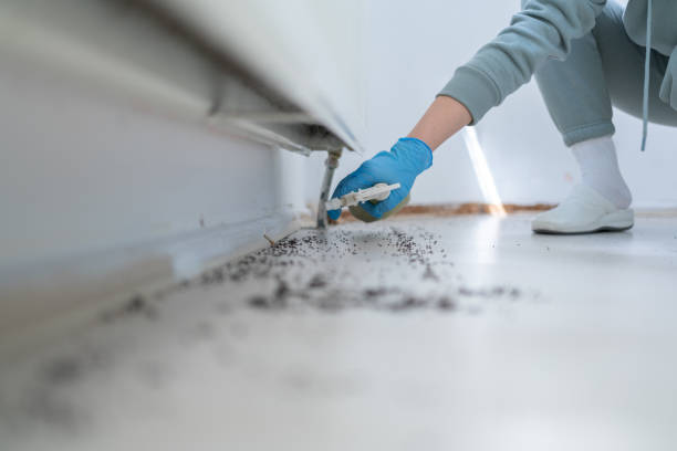 Best Emergency Pest Control  in Bethesda, OH