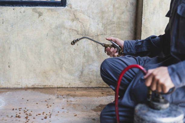 Best Pest Control for Homes  in Bethesda, OH