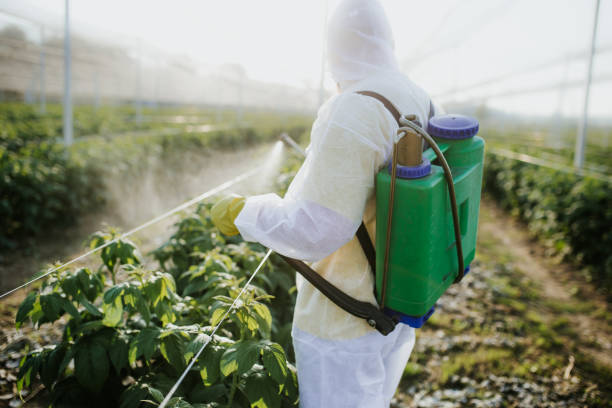 Best Pest Control Near Me  in Bethesda, OH
